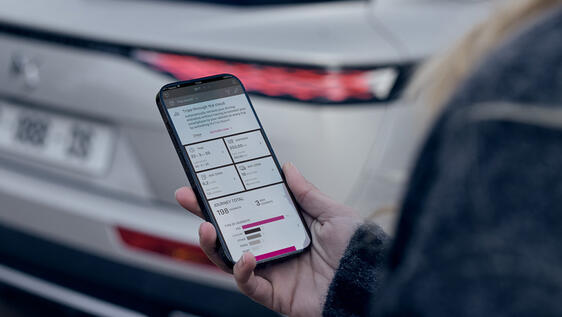 MY TRIP REPORT MY TRIP REPORT